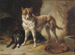 Wouterus Verschuur - Two border collies in a stable