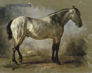 Wouterus Verschuur - Yanko in the stable: a white horse