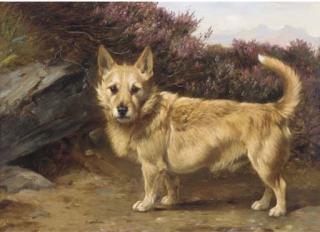 Wright Barker - A terrier at a rabbit hole