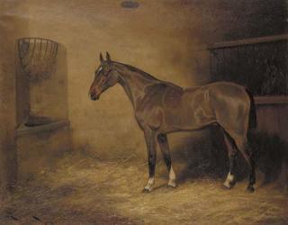 Wright Barker - Bay Prince, a chestnut hunter in a stable