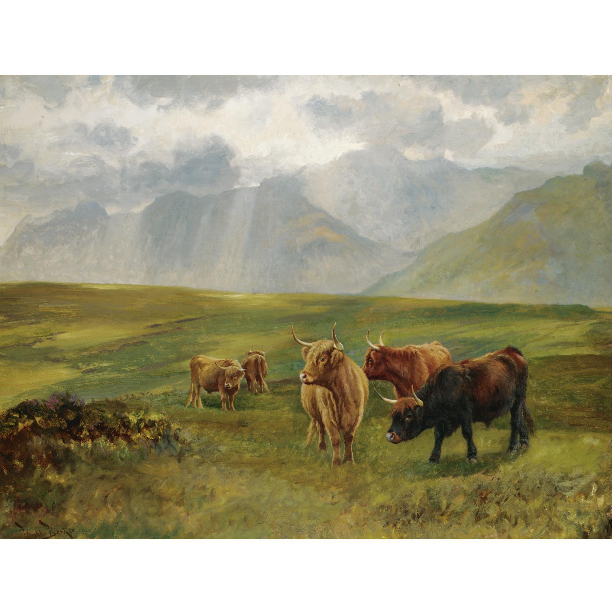 Wright Barker - Highland Cattle