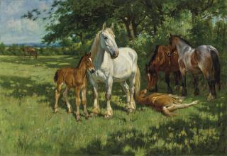 Wright Barker - Maternity