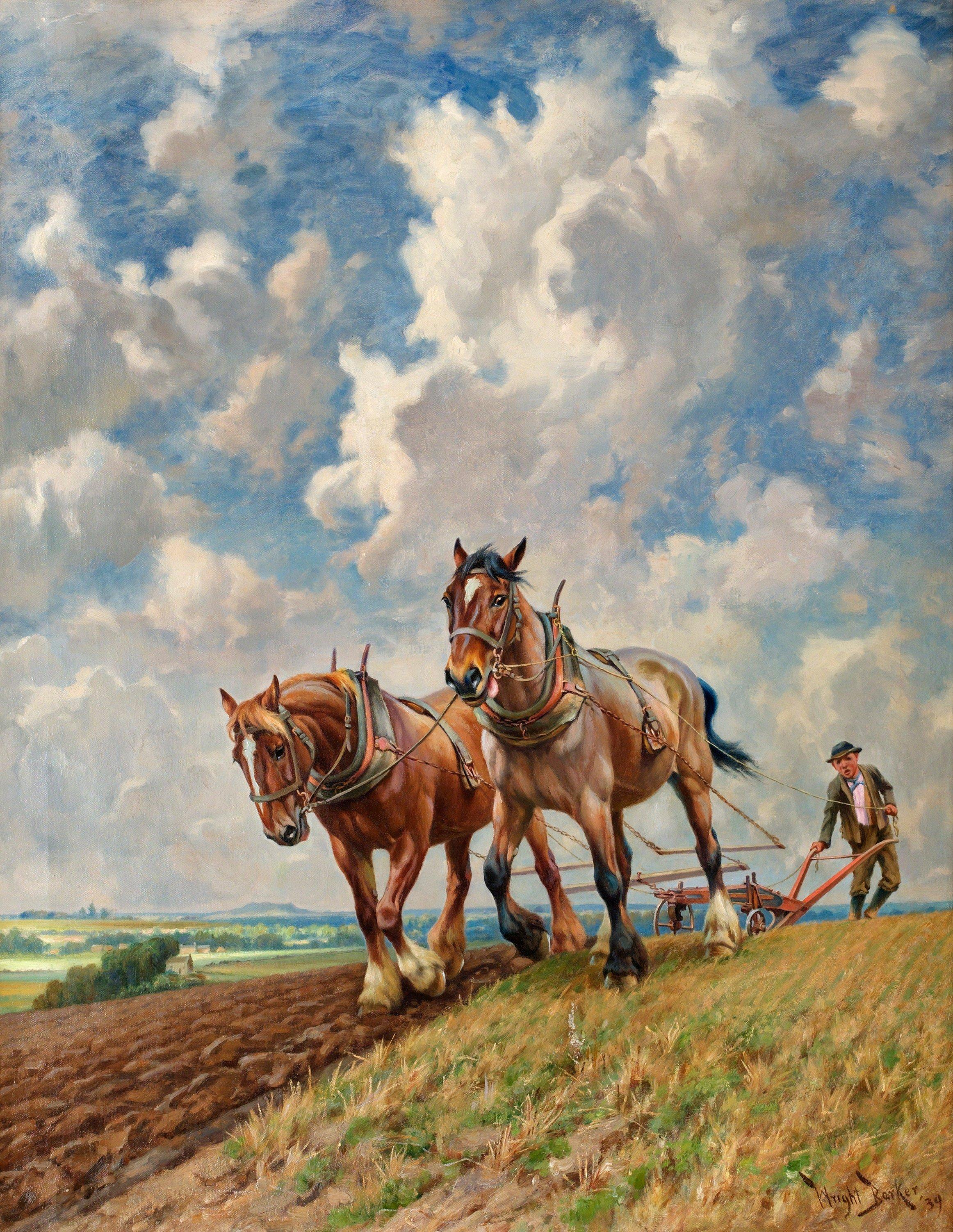 Wright Barker - Ploughing the Fields