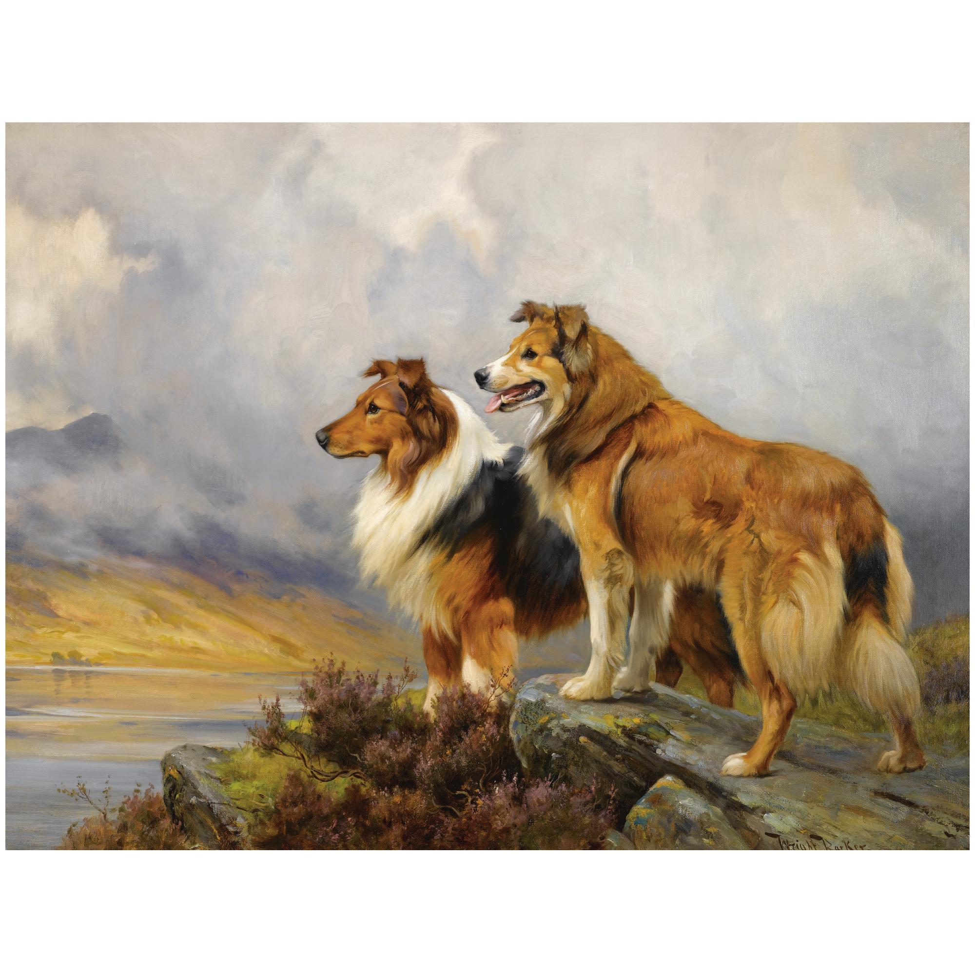 Wright Barker - Two Collies Above A Lake