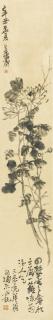 Wu Changshuo - Chrysanthemum