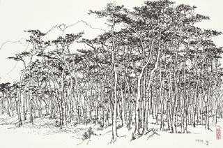 Wu Guanzhong - Pine Forest