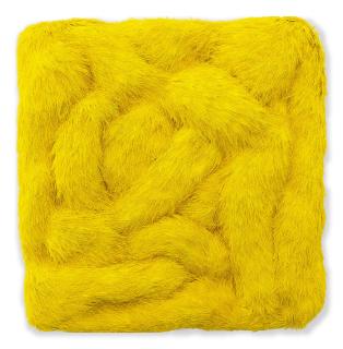 Wu Wei - Pelage-6(Executed In 2016)