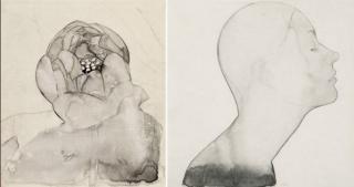 Wu Xuelian - Lotus·Portrait