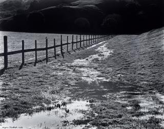 Wynn Bullock - Bird and Fence (The Meadow)