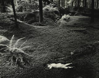 Wynn Bullock - Child In Forest