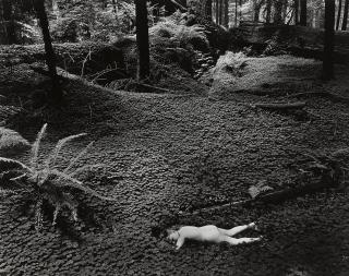 Wynn Bullock - Child in Forest