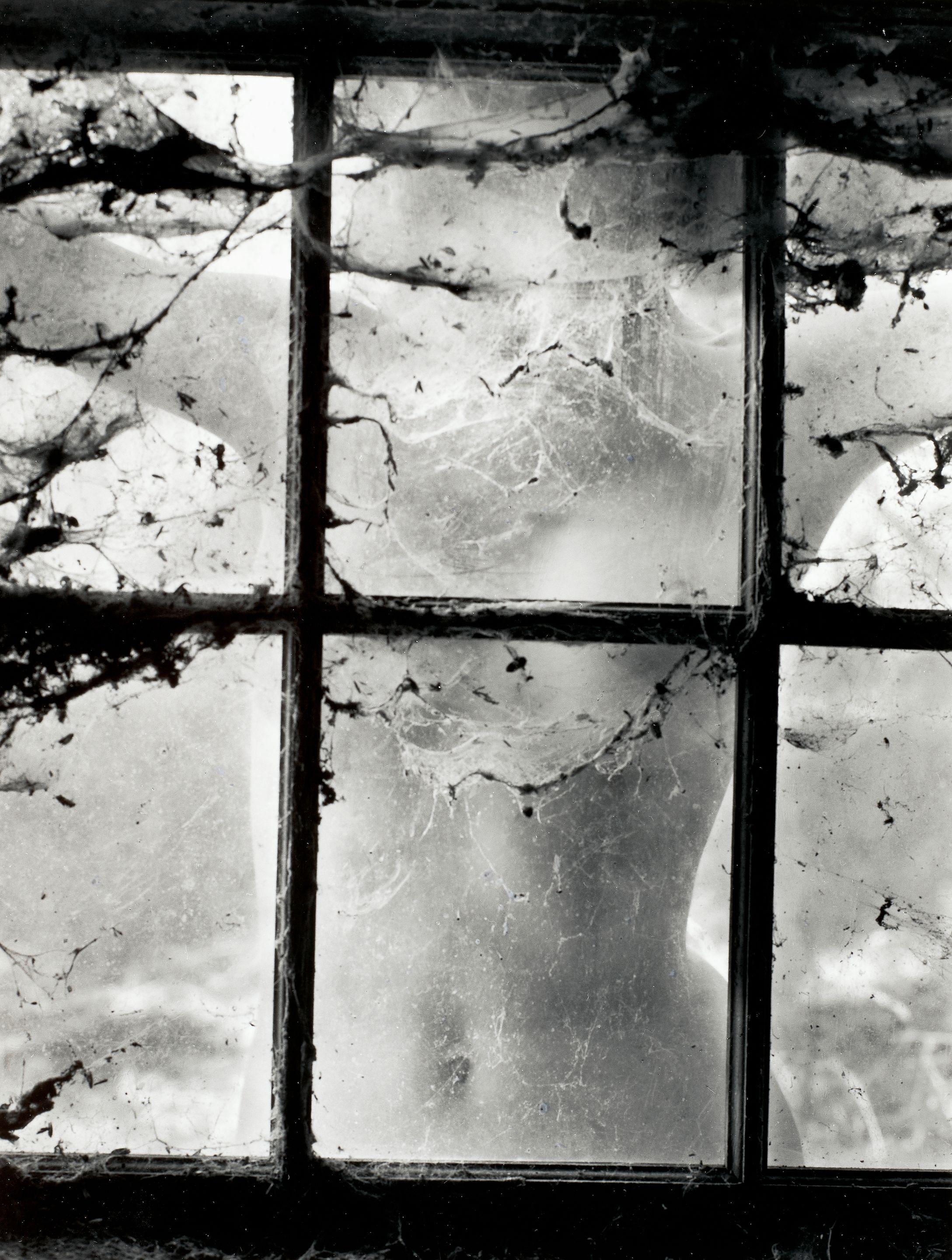 Wynn Bullock - \'Nude Behind Cobwebbed Window\'