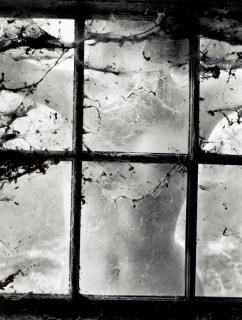Wynn Bullock - \'Nude Behind Cobwebbed Window\'