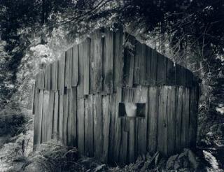 Wynn Bullock - Nude in Shack, 1954