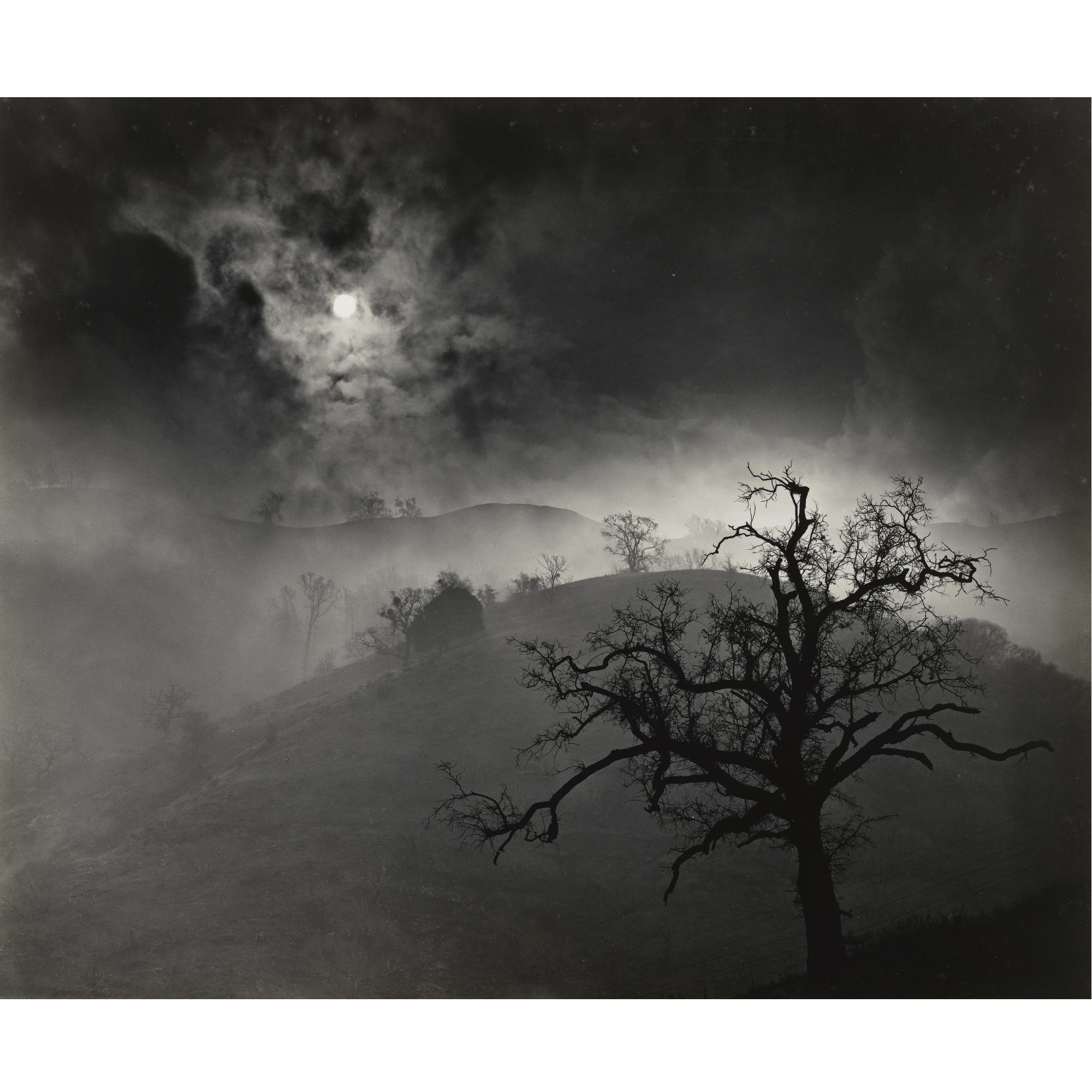 Wynn Bullock - Selected Images