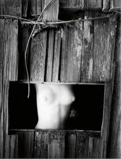 Wynn Bullock - Torso in Window