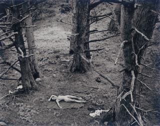 Wynn Bullock - Woman and Dog in Forest, 1953