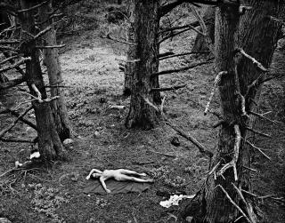 Wynn Bullock - \'Woman And Dog In Forest\'