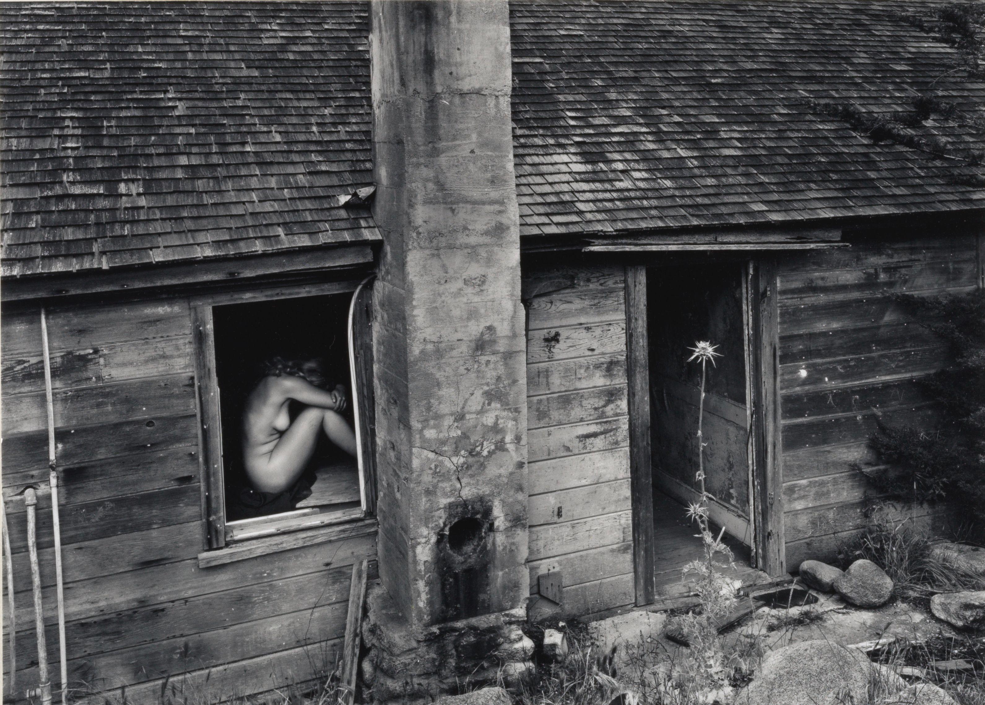 Wynn Bullock - \'Woman and Thistle\'