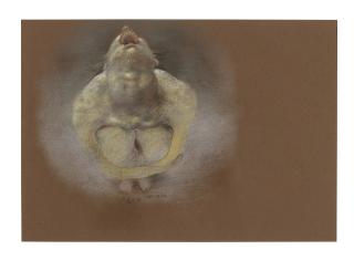 Xia Xiaowan - Untitled