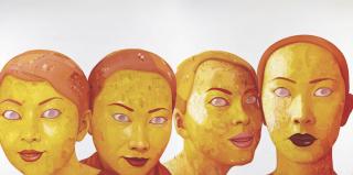 Xiao Hong - Intellectual Youth Series