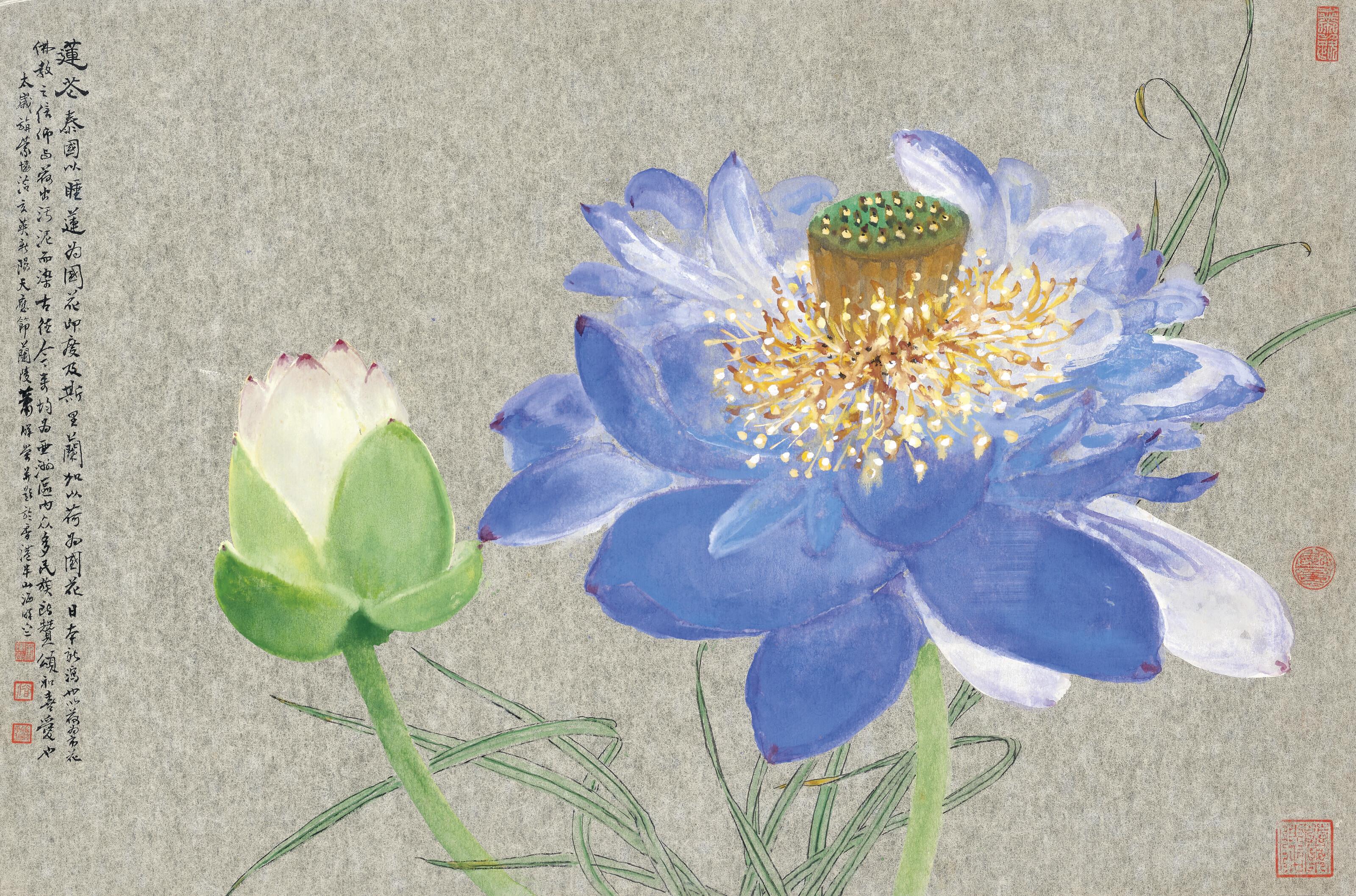 Xiao Huirong - Lotus