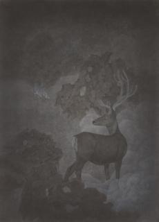 Xiao Xu - Distinction