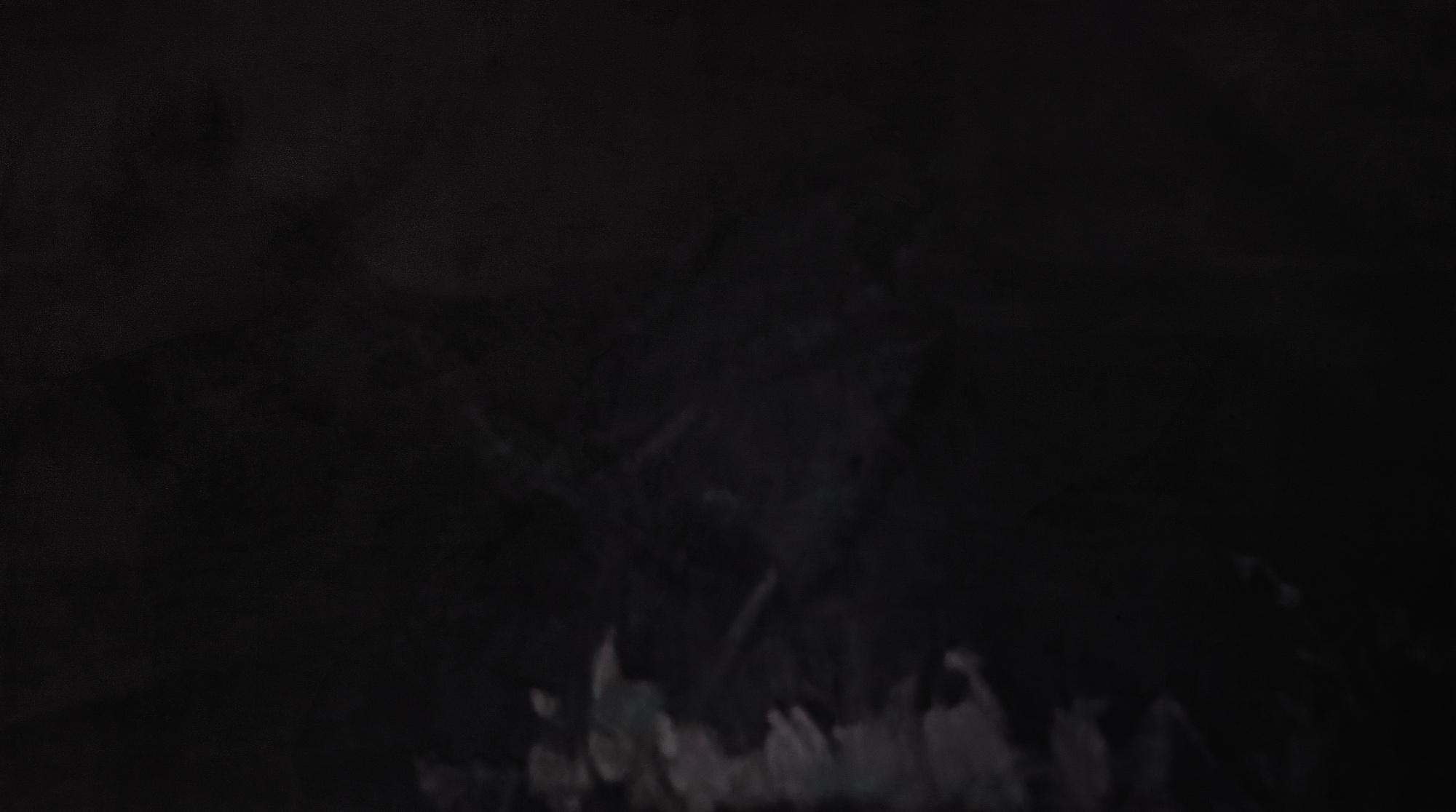 Xie Nanxing - Untitled No.3