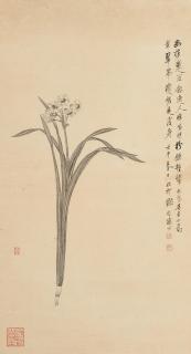 Xie Zhiliu - Narcissus