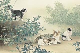 Xing Cheng\'Ai - Harmony