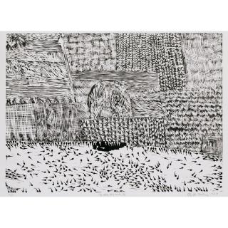 Xu Bing - A Pool With Tadpoles