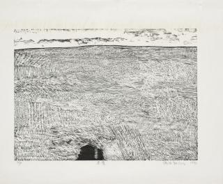 Xu Bing - Black Pool