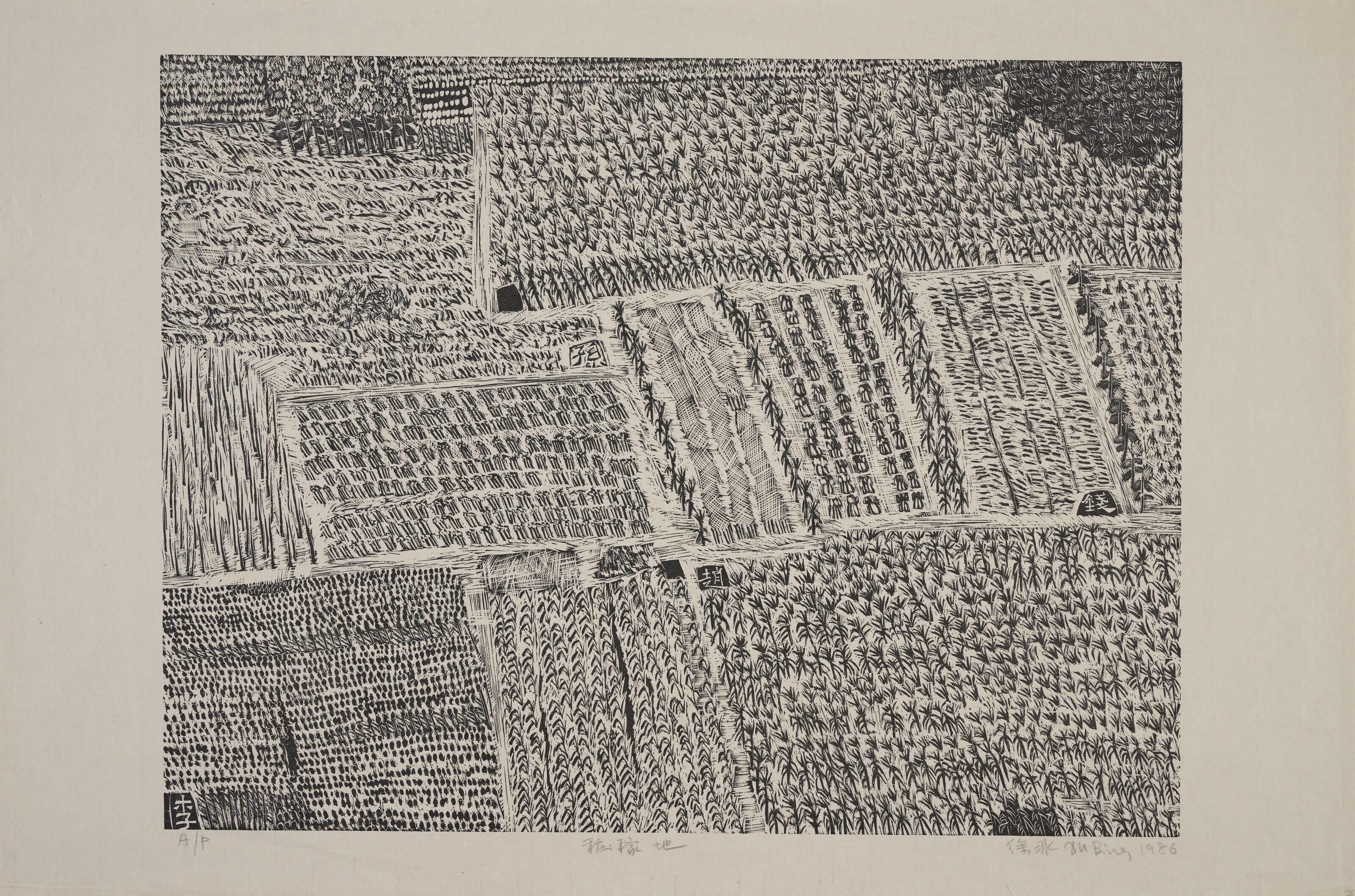 Xu Bing - crop field