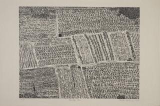 Xu Bing - crop field