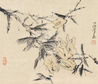 Xu Gu - Finger Citron