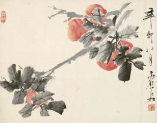 Xu Gu - Persimmon
