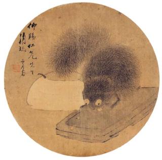 Xu Gu - Squirrel