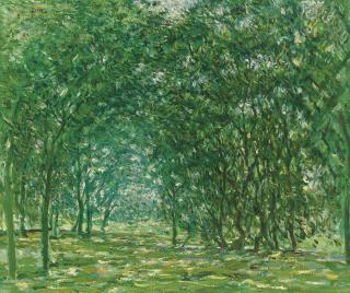 Xu Jiang - Green Forrest