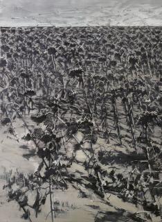 Xu Jiang - Twelve Views Of A Sunflower Field XI