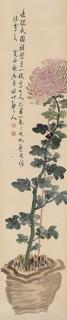 Xu Shichang - A Branch Of Chrysanthemum