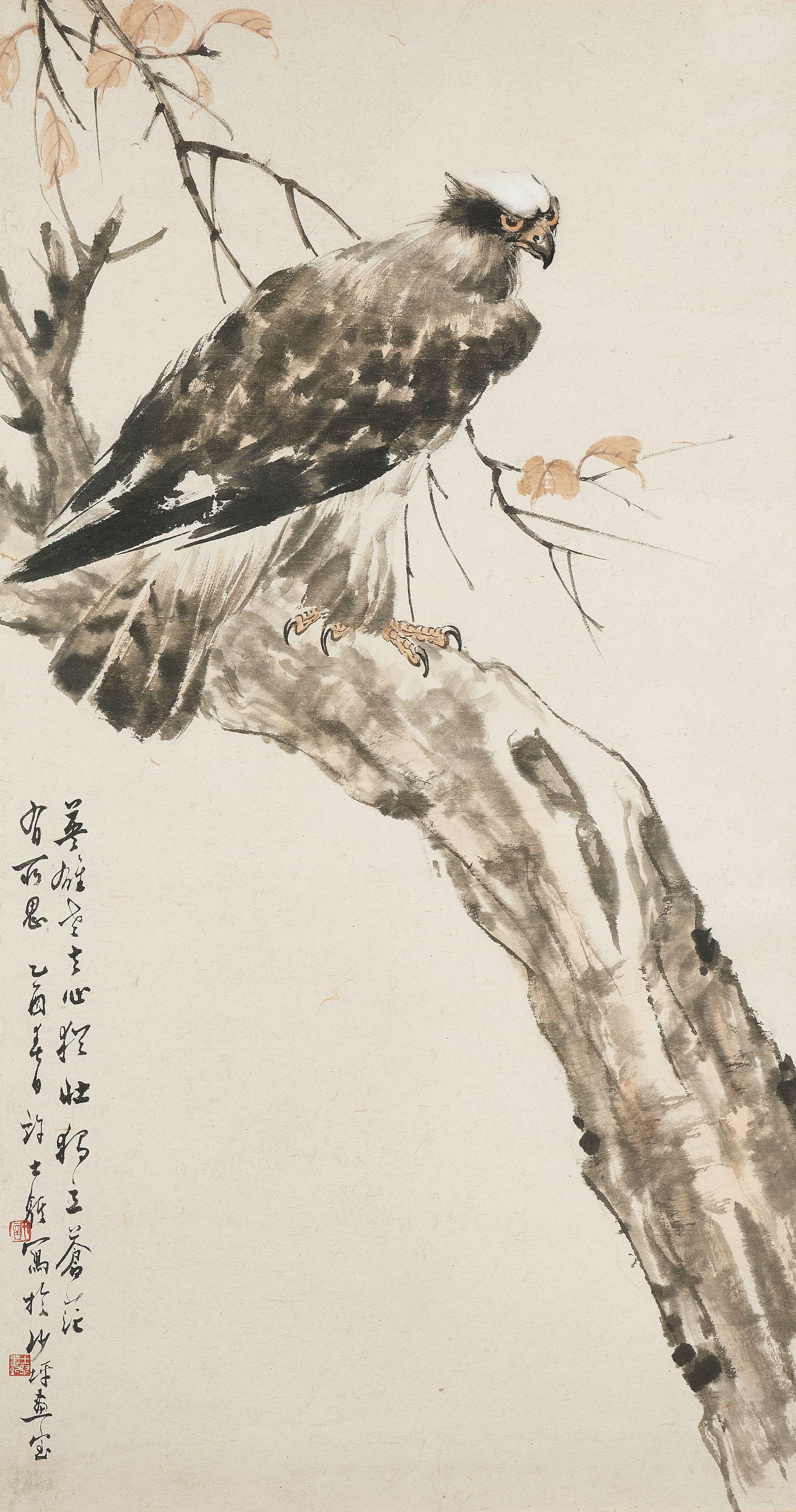 Xu Shiqi - Eagle