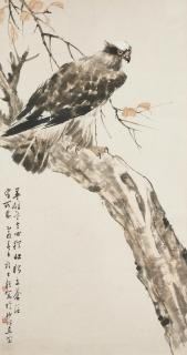 Xu Shiqi - Eagle