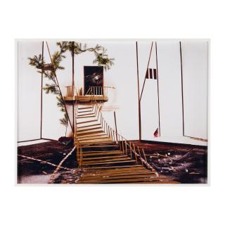 Yamini Nayar - Underfoot and Overhead