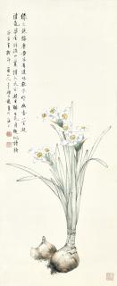 Yan Bolong - Narcissus