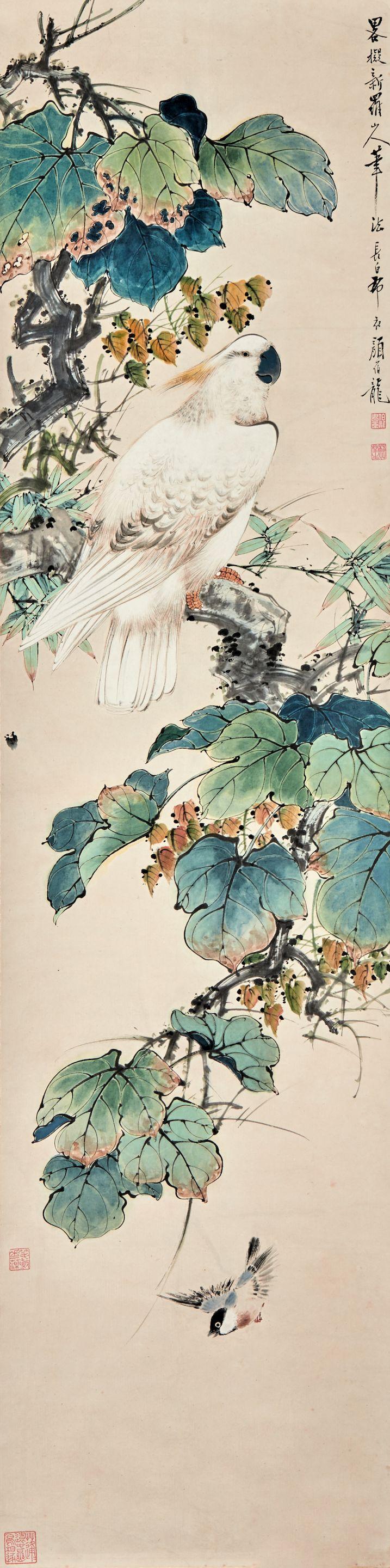 Yan Bolong - White Parrot