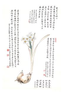 Yan Jiabao - Narcissus