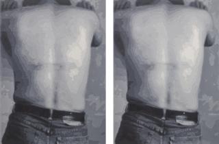 Yan Lei - Invasion (Back), Two Works