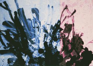 Yan Lei - Super Light Series - Congo