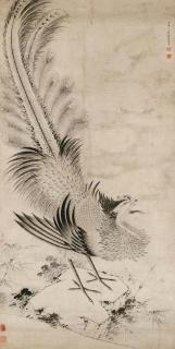 Yan Shengsun - Phoenix