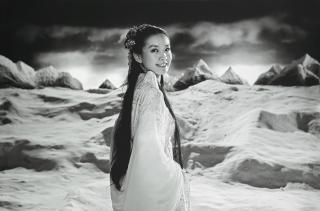 Yang Fudong - The Nightman Cometh